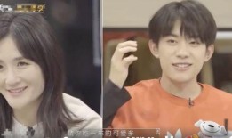 何炅绯闻爆料视频最新版,真相与谣言的交织