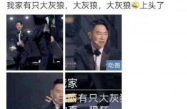 港星综艺爆料最新消息